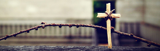±âµ¶±³´ëÇѼº°á±³È¸ ±âµ¶±³´ëÇѼº°á±³È¸